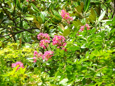 DSC02416.JPG