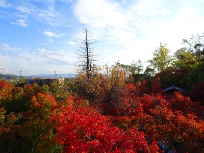 DSC02663.JPGのサムネイル画像