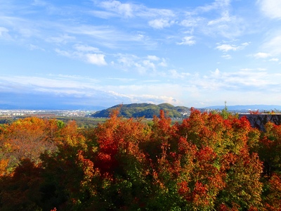 DSC02665.JPGのサムネイル画像