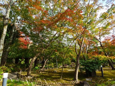 DSC02674.JPGのサムネイル画像