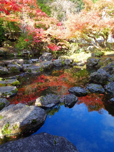 DSC02691.JPGのサムネイル画像