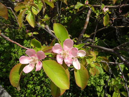 190418_karinn.JPG