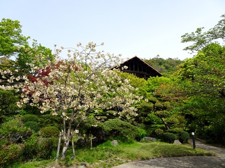 190423_gyoikou.JPG
