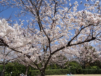 DSC03552.JPG