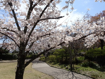 DSC03553.JPG