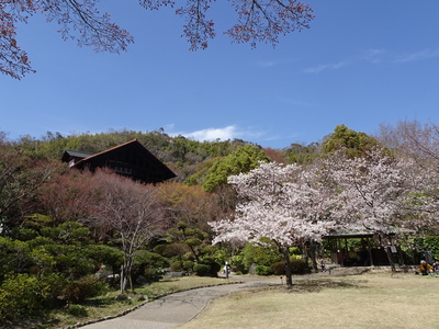 DSC03555.JPG