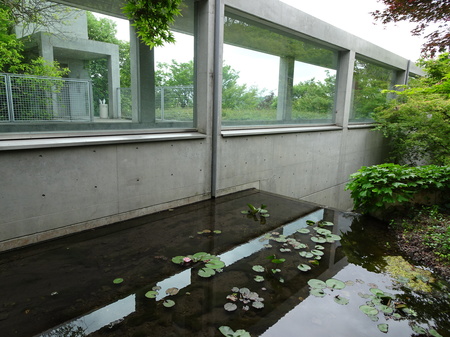 DSC03785.JPG