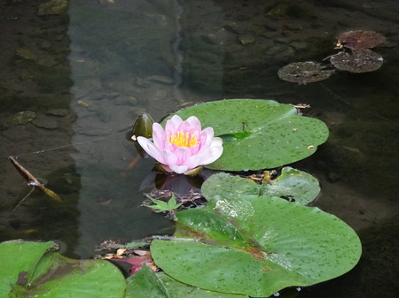 DSC03787.JPG