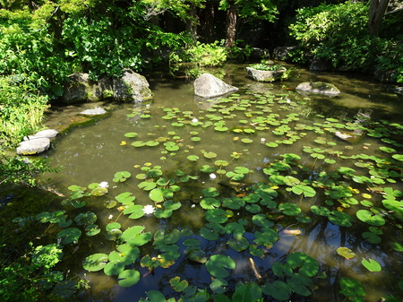 DSC03824.JPG