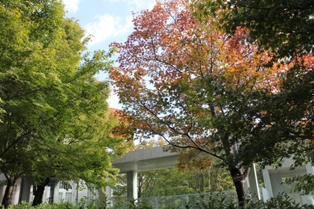 1022-3.JPG