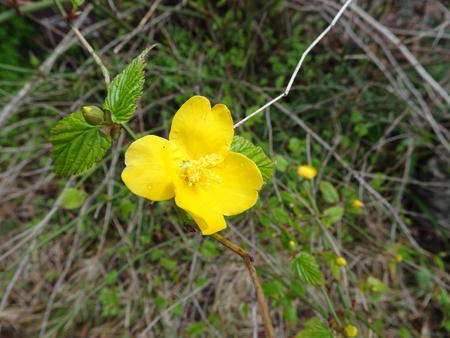 DSC06300.JPG