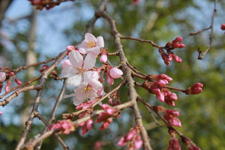 IMG_9817.JPG