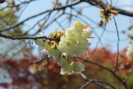 IMG_9912.JPG