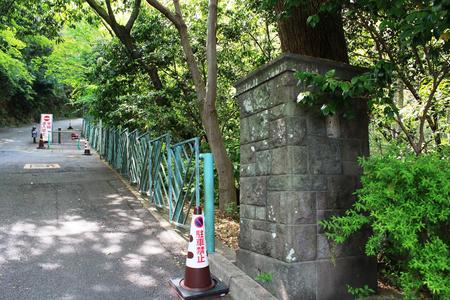 IMG_9685.JPG
