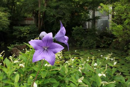 IMG_0042.JPG