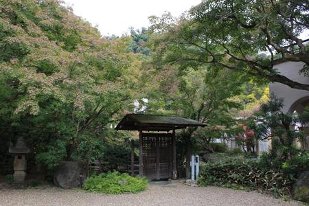 20201106_2.jpg