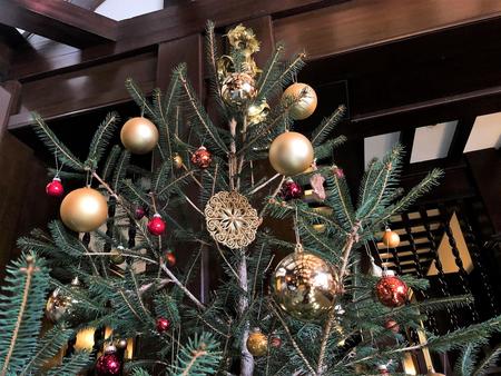 クリスマスツリー２.jpg