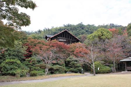 20201106_4.jpg