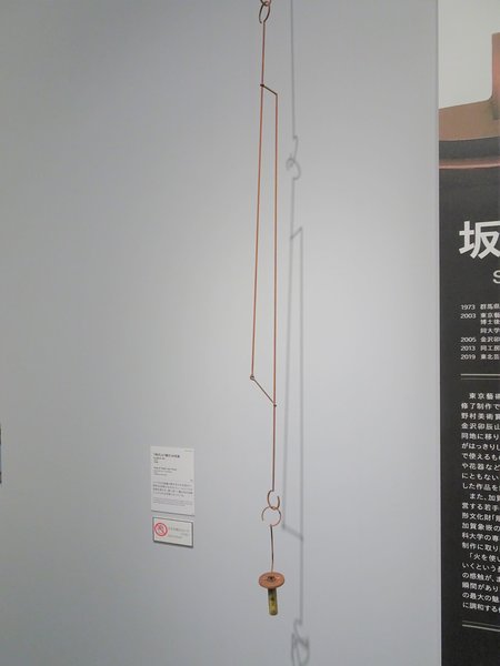 DSC01278 4mp.JPG