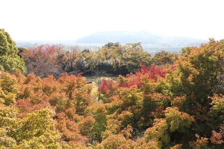 IMG_9985.JPG