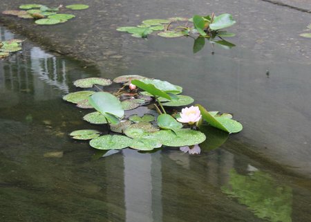 IMG_9476.jpg