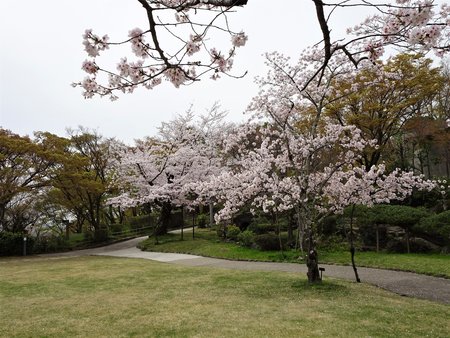 DSC05343＋.jpg