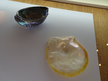 DSC05270.JPG