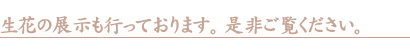 生花の展示も行っております。　是非ご覧ください。